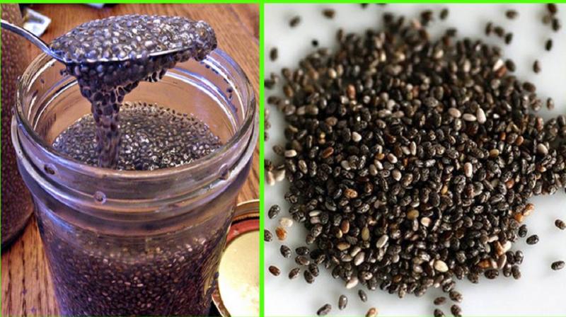 Chia Seeds Chia Seeds