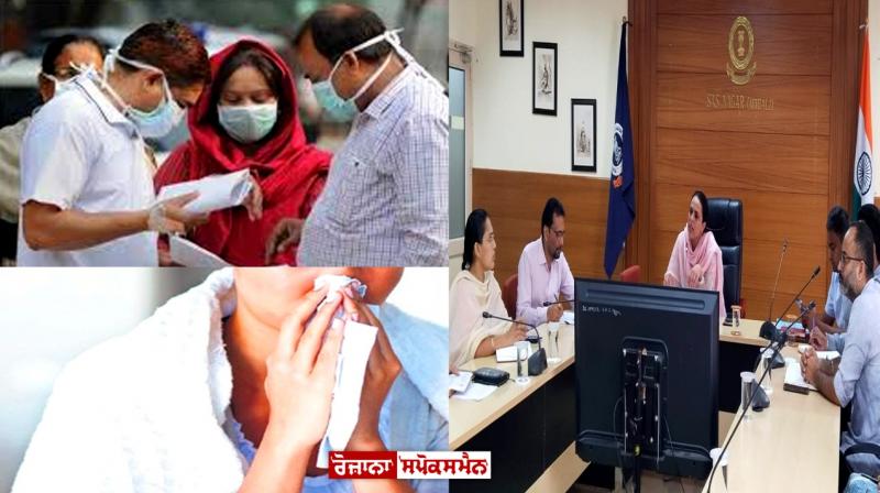 Swine flu has hit Punjab, instructions issued Swine flu has hit Punjab, instructions issued