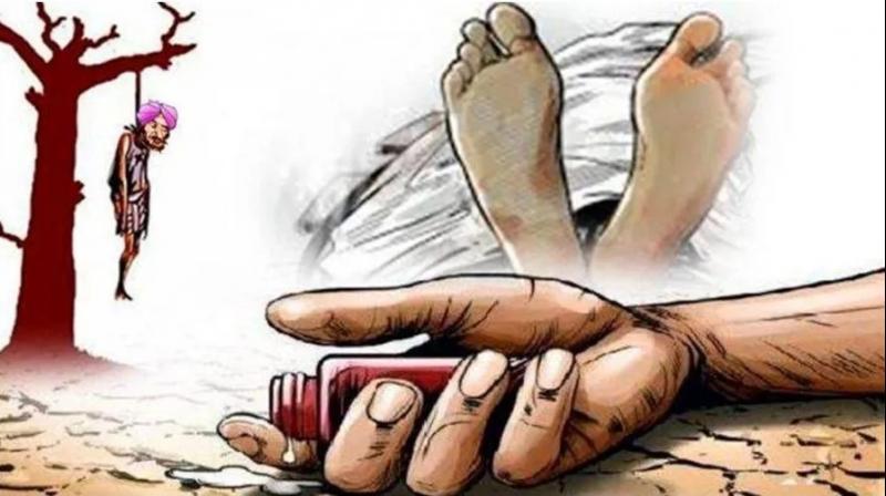 farmer-labourer suicides continues in Punjab farmer-labourer suicides continues in Punjab