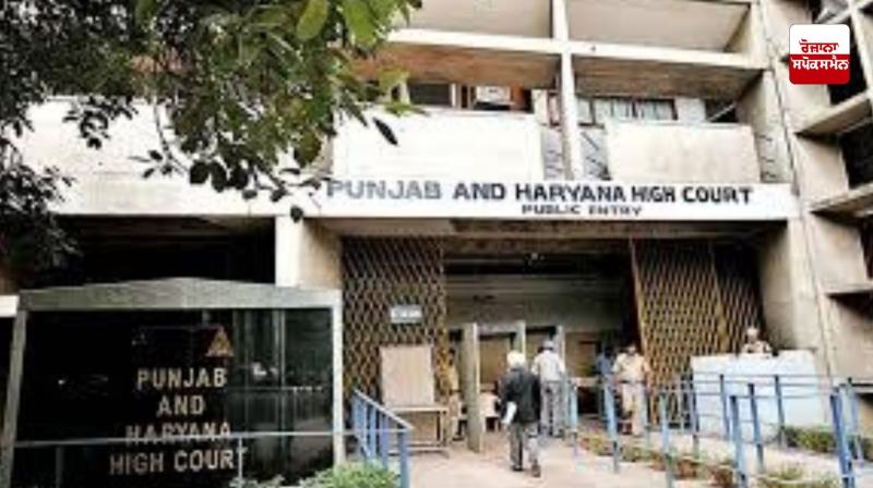 Punjab & Haryana High Court: 74-year-old Charanjit Kaur's conviction upheld in 24-year-old immigration fraud case Punjab & Haryana High Court: 74-year-old Charanjit Kaur's conviction upheld in 24-year-old immigration fraud case