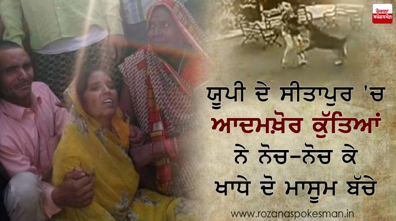 dog bites 2 child in sitapur uttar pradesh dog bites 2 child in sitapur uttar pradesh