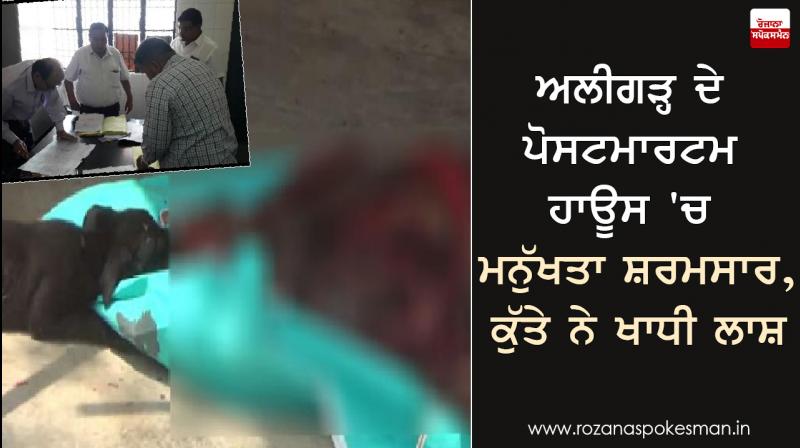 dog bite dead body aligarh post mortem house