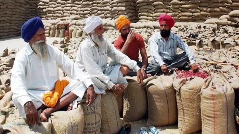 Procurement agencies decide to resume procurement of wheat Procurement agencies decide to resume procurement of wheat