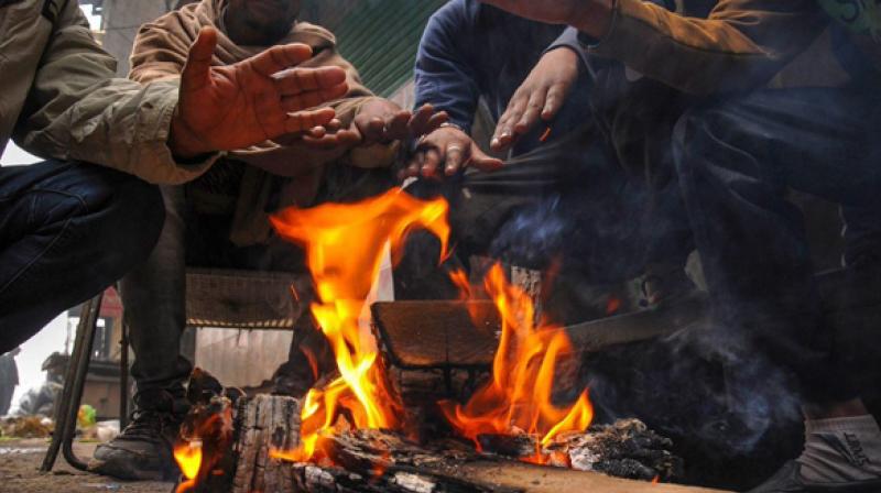 Cold wave in northern India greets severe cold Cold wave in northern India greets severe cold