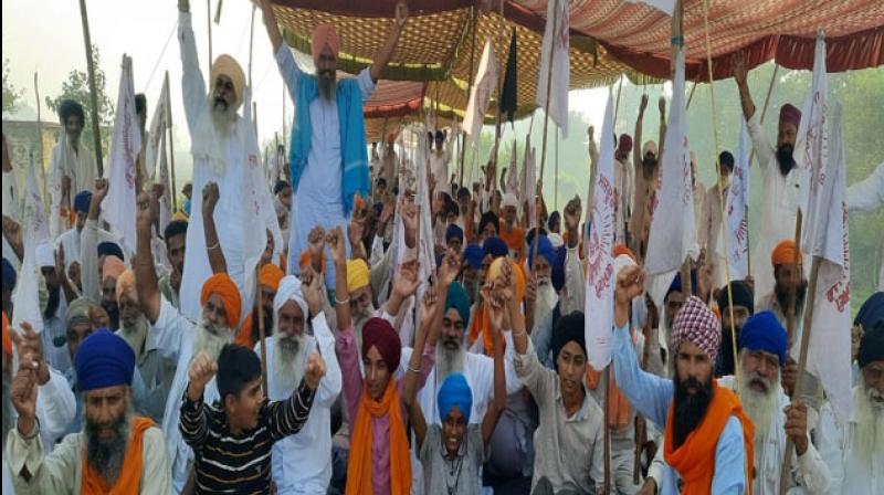 farmer protest farmer protest