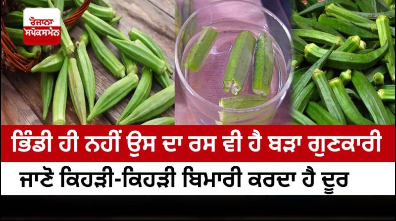 Benefits of Drinking Lady Finger Juice Benefits of Drinking Lady Finger Juice