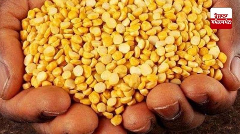 Chickpeas are beneficial for health Chickpeas are beneficial for health