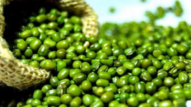 Over 70% moong sold below MSP Over 70% moong sold below MSP