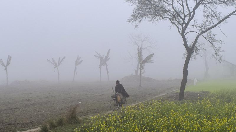 Punjab Weather Update