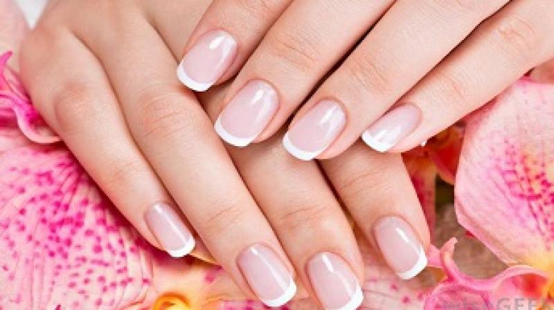Nails Nails