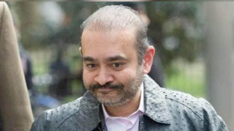 Nirav Modi