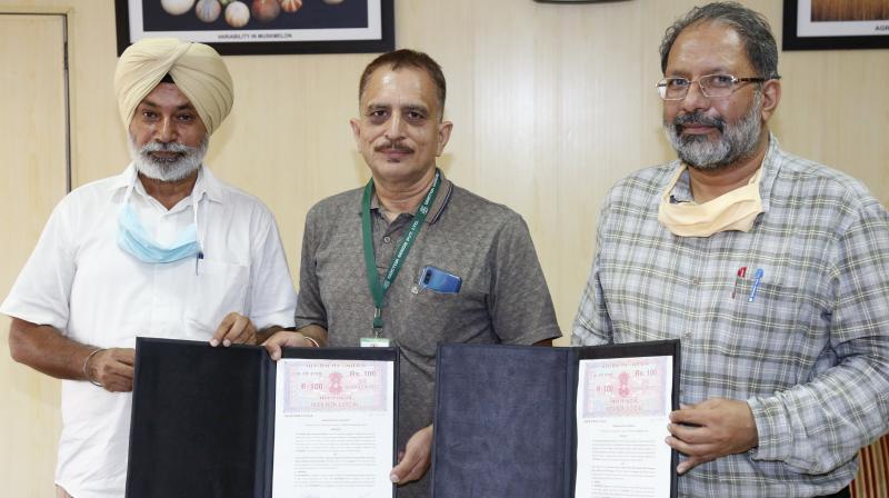 P.AU Has entered into another agreement for commercialization of vegetable varieties P.AU Has entered into another agreement for commercialization of vegetable varieties