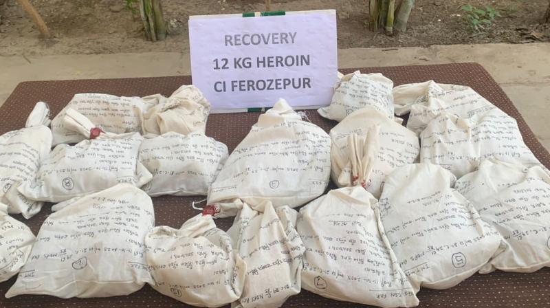 12 kg of heroin seized, 2 arrested in Ferozepur 12 kg of heroin seized, 2 arrested in Ferozepur