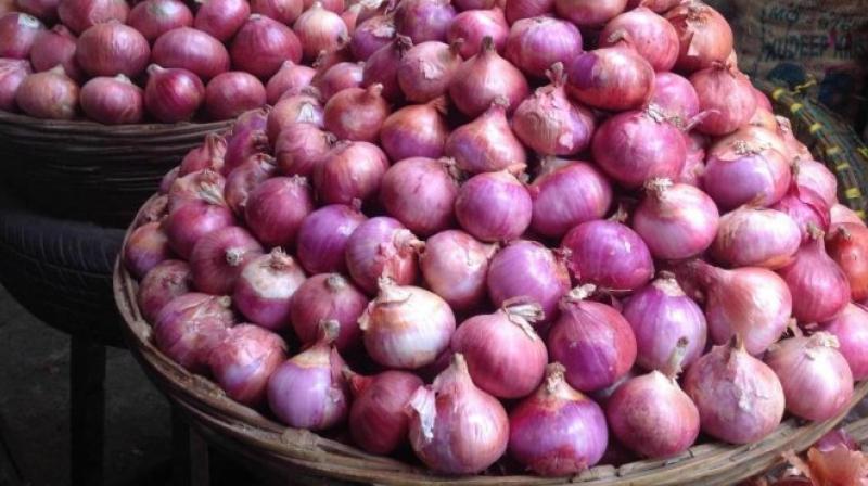 onion india Government of india 