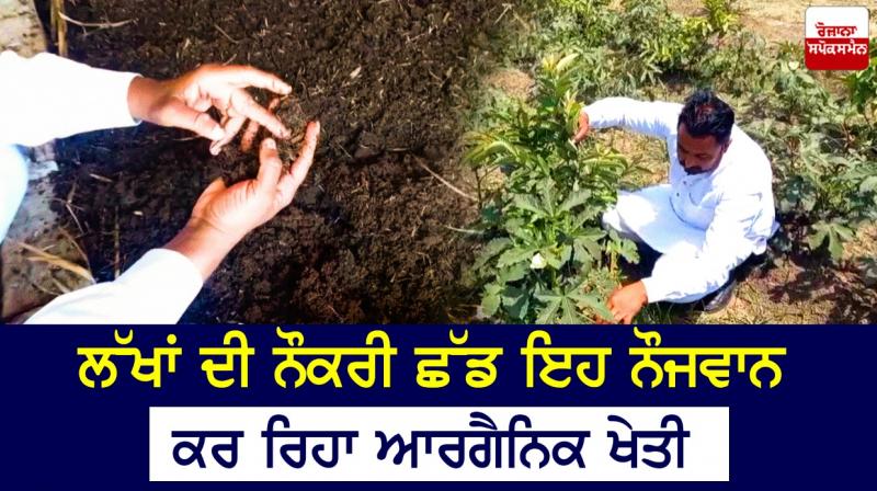 organic farming organic farming