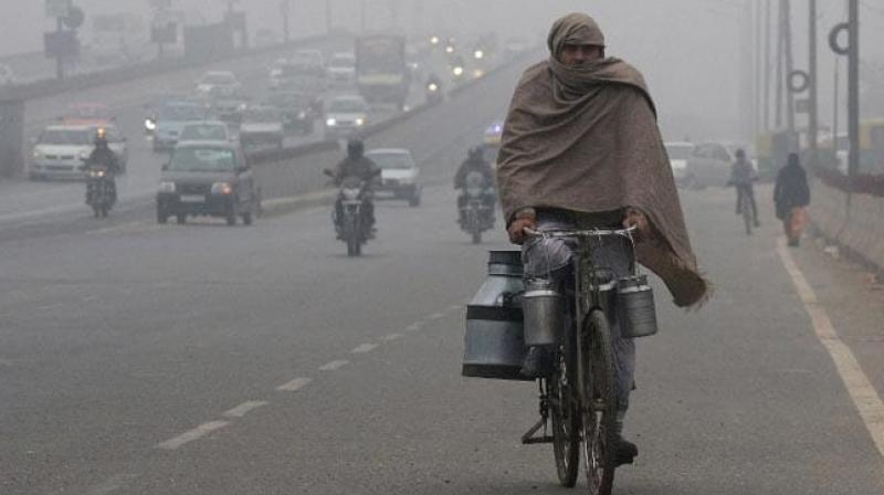 Winter Delhi Winter Delhi