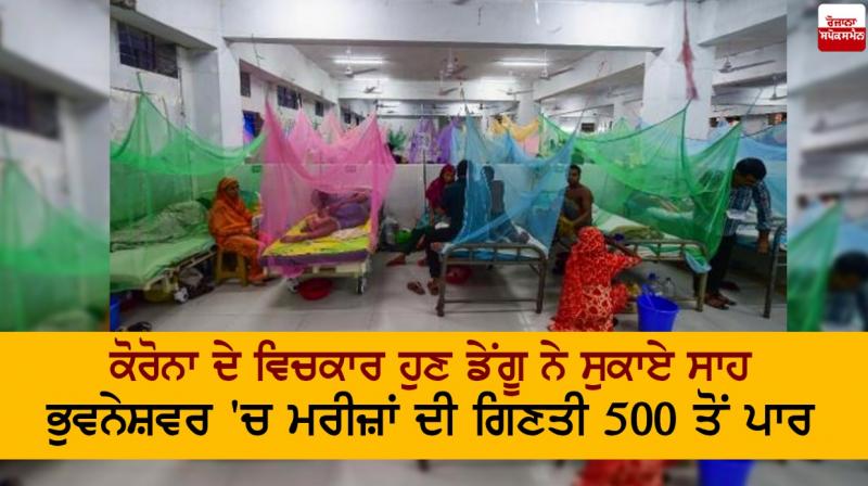 Dengue case Dengue case