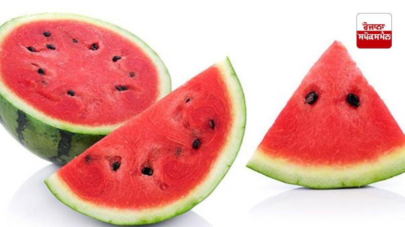 Watermelon peels are also beneficial for health Watermelon peels are also beneficial for health