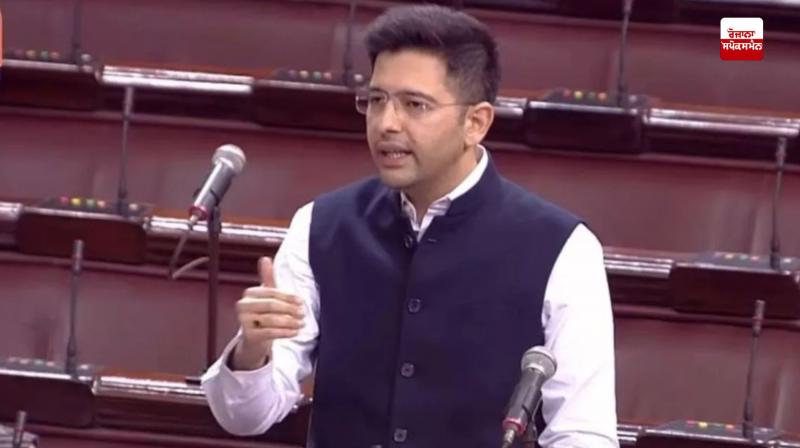 MP Raghav Chadha MP Raghav Chadha