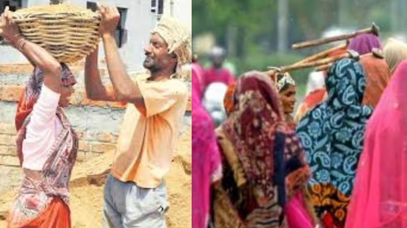 Participation of young, educated women in the Punjab labor force Participation of young, educated women in the Punjab labor force