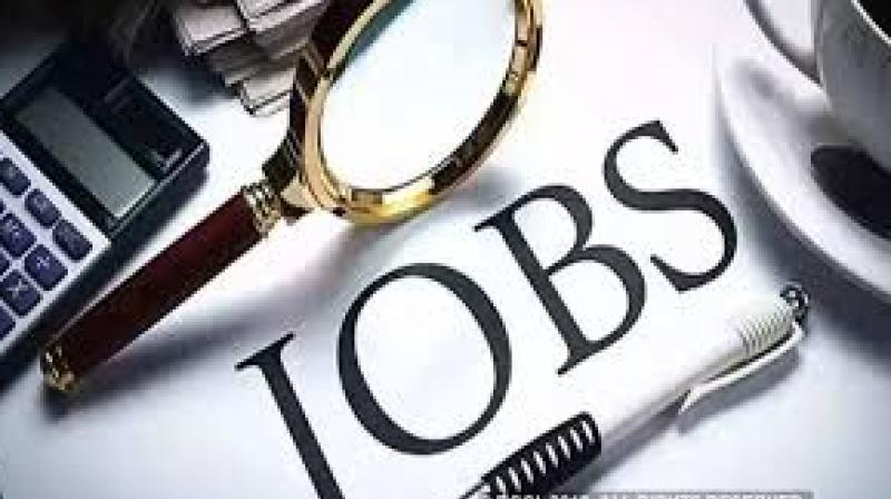 Jobs Jobs