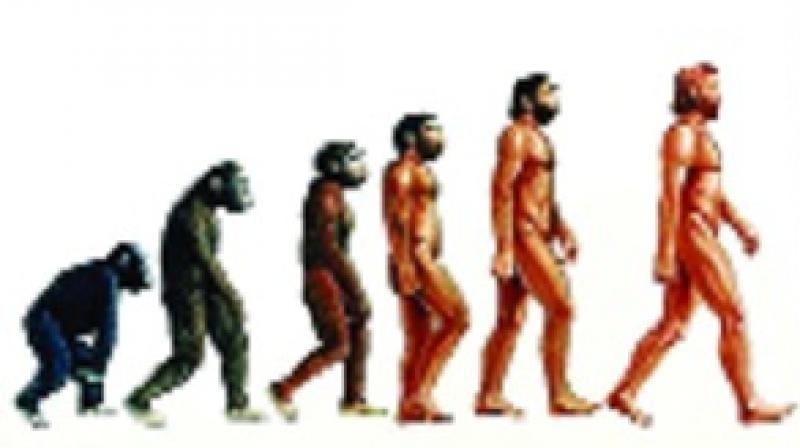 Darwin's Theory Darwin's Theory
