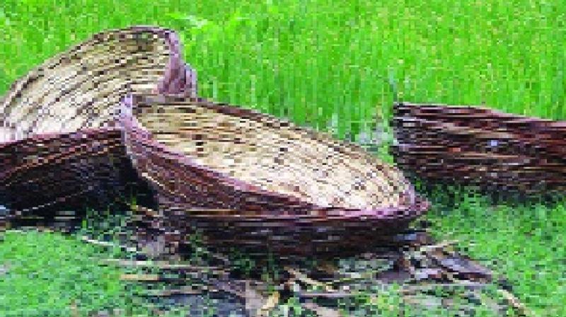 No baskets, no shoes No baskets, no shoes