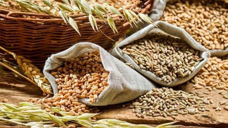 India restricts export of wheat
