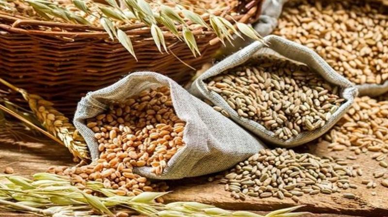 India restricts export of wheat India restricts export of wheat