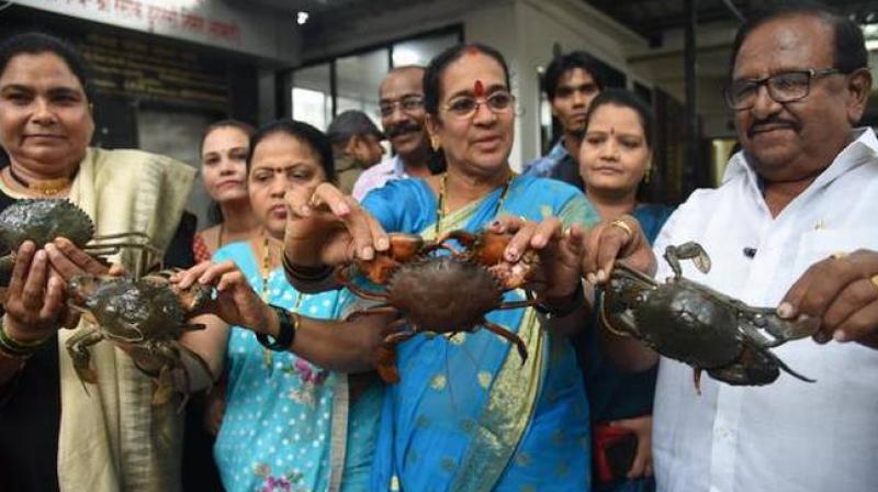 NCP is protesting against Maharashtra's crab Protest