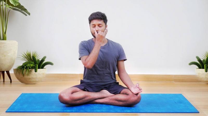 yoga yoga