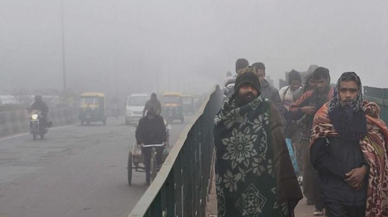 Delhi Cold Delhi Cold