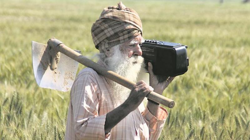Farmer Farmer