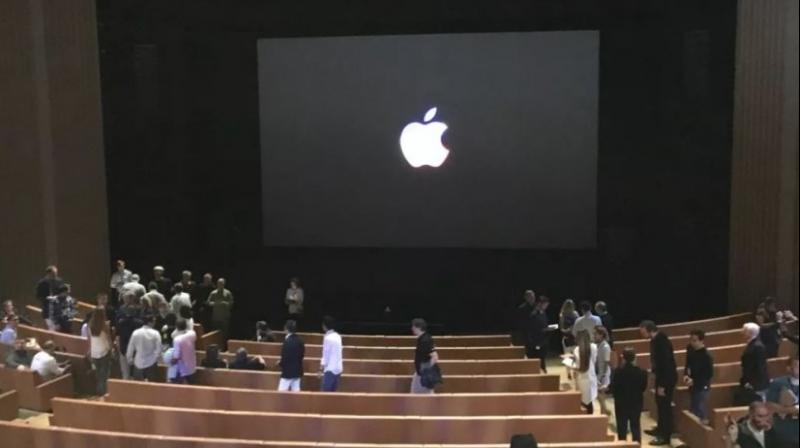 Apple Apple
