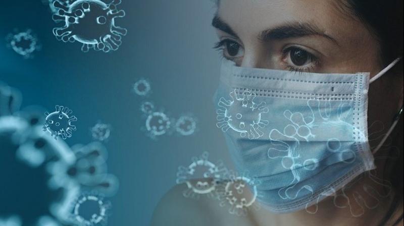 Corona Virus Corona Virus