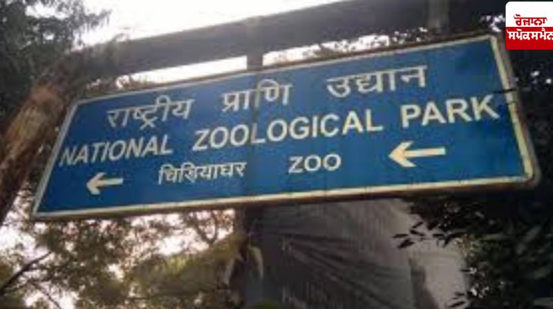 Jackals escape from Delhi Zoo, investigation begins