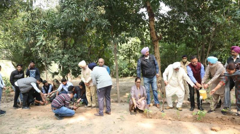 Plantation of Sacred and Healing Herbs Organised by SGGS College 