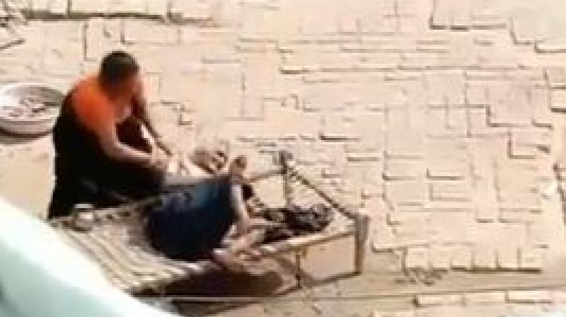 Elderly Woman Beaten in Mahendragarh By Daughter In Law Elderly Woman Beaten in Mahendragarh By Daughter In Law