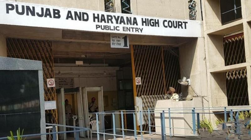 The Punjab Haryana High Court held a hearing on the school buses of Punjab Haryana