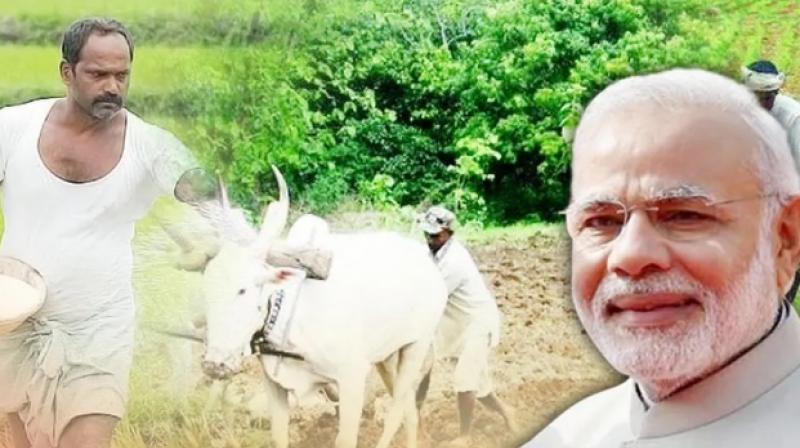PM Modi PM Modi