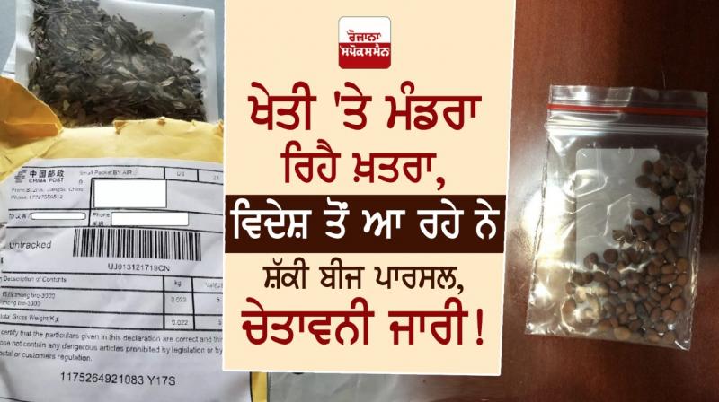 Centre alerts states, industry to be vigilant about 'mystery seed parcels' Centre alerts states, industry to be vigilant about 'mystery seed parcels'