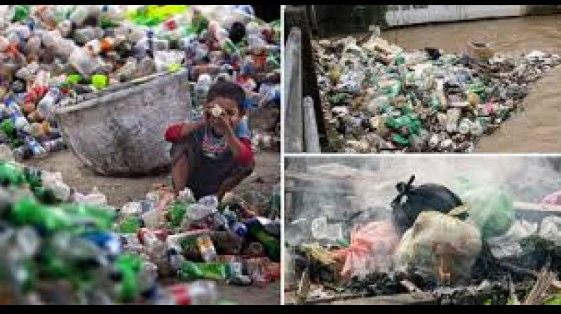 Plastic Waste Companies