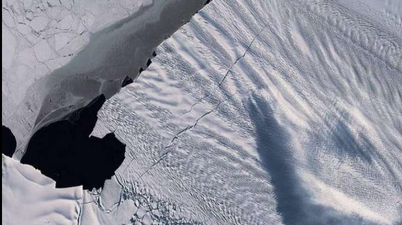Antarctica Antarctica