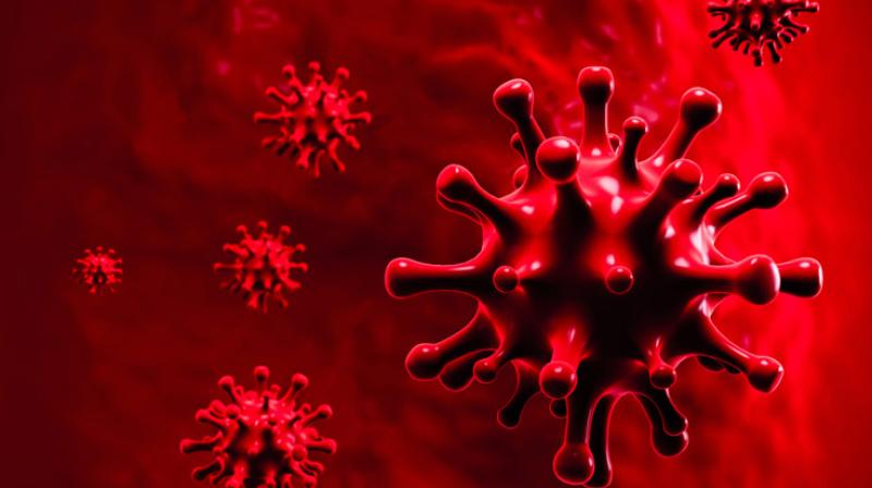 Corona Virus Corona Virus
