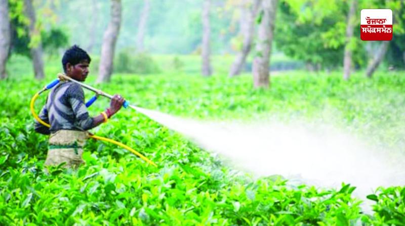 Warning of 20-25 percent increase in pesticide costs