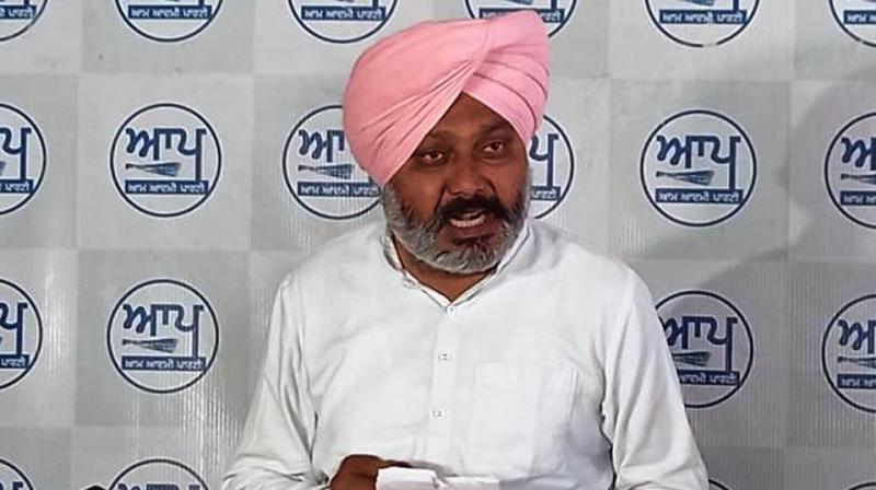 Harpal Cheema Harpal Cheema