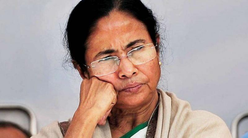 Mamata banerjee