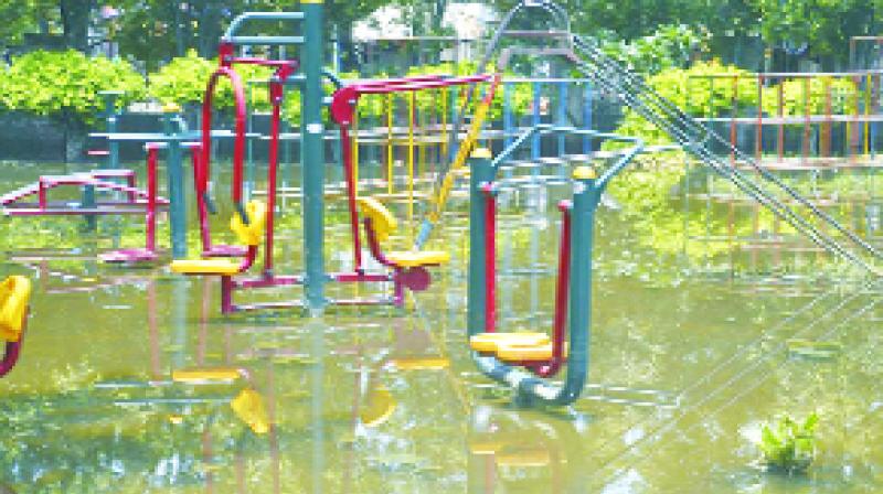 Water in Park Water in Park