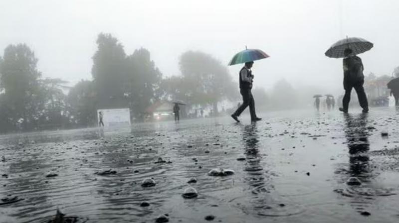 Heavy rain will occur in these districts of Punjab Heavy rain will occur in these districts of Punjab
