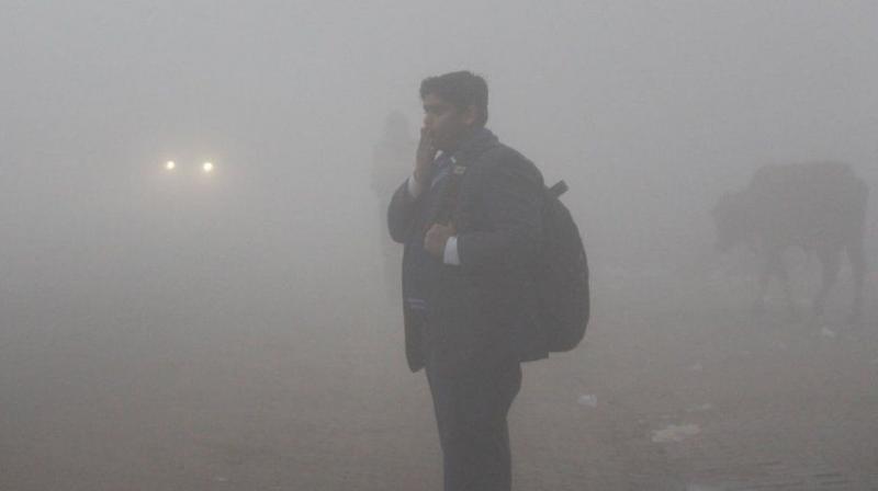 Cold Day: Day temperature below 16 degrees in 17 districts of Punjab, snowfall in Himachal Cold Day: Day temperature below 16 degrees in 17 districts of Punjab, snowfall in Himachal